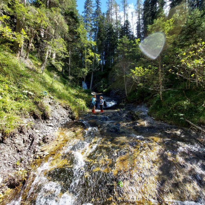 Flattnitz Almhaus Kärnten